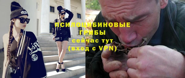 apvp Алексин