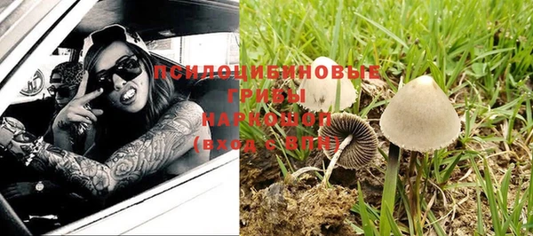 мескалин Абаза