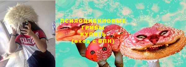 дживик Абинск
