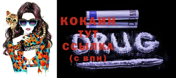 дживик Абинск